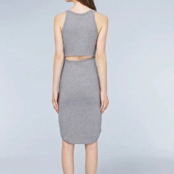 Wilfred Dresses & Skirts - Aritzia Wilfred Free Grey Cutout Casual Dress
